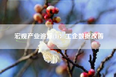 宏观产业追踪(1):工企数据改善 宏观产业追踪(1):工企数据改善