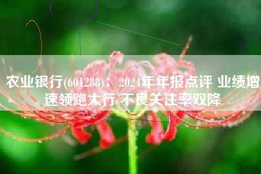 农业银行(601288)：2024年年报点评 业绩增速领跑大行 不良关注率双降