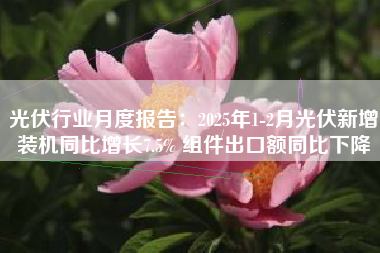 光伏行业月度报告：2025年1-2月光伏新增装机同比增长7.5% 组件出口额同比下降