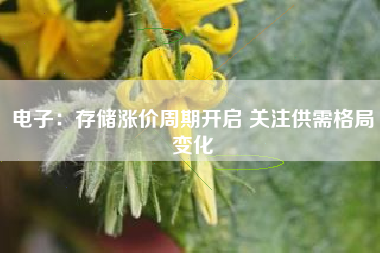 电子：存储涨价周期开启 关注供需格局变化