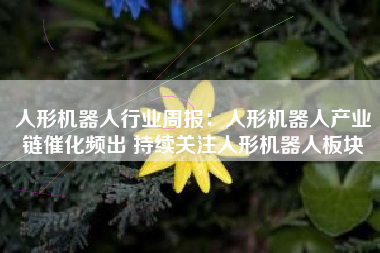 人形机器人行业周报：人形机器人产业链催化频出 持续关注人形机器人板块