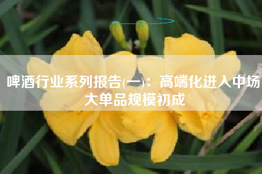 啤酒行业系列报告(一)：高端化进入中场 大单品规模初成