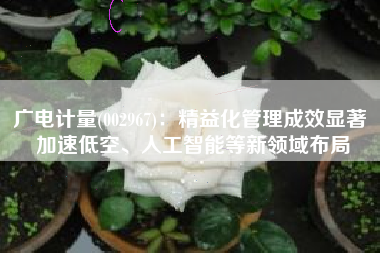 广电计量(002967)：精益化管理成效显著 加速低空、人工智能等新领域布局