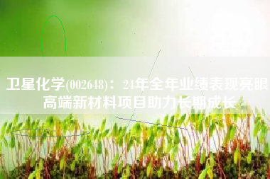 卫星化学(002648)：24年全年业绩表现亮眼 高端新材料项目助力长期成长