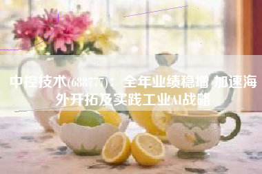 中控技术(688777)：全年业绩稳增 加速海外开拓及实践工业AI战略