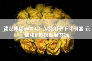 锦泓集团(603518)：Q4费用率下降明显 云锦和IP授权业务共振