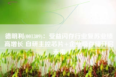 德明利(001309)：受益闪存行业复苏业绩高增长 自研主控芯片+企业级存储开启未来