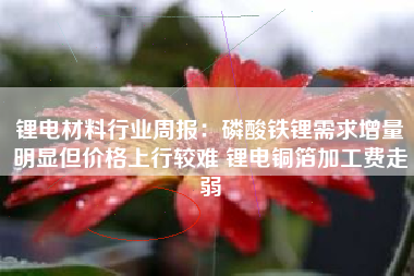 锂电材料行业周报：磷酸铁锂需求增量明显但价格上行较难 锂电铜箔加工费走弱