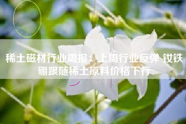 稀土磁材行业周报：上周行业反弹 钕铁硼跟随稀土原料价格下行