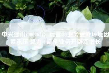 中兴通讯(000063)：运营商业务受外环境因素承压 算力+端侧业务开辟新增长