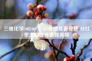 三维化学(002469)：Q4业绩显著提速 分红率大幅提升表现亮眼