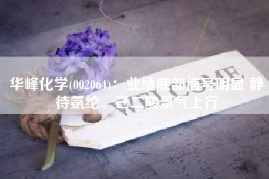 华峰化学(002064)：业绩底部信号明显 静待氨纶、己二酸景气上行