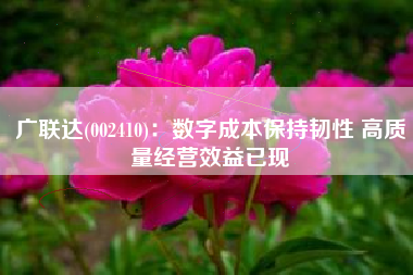 广联达(002410)：数字成本保持韧性 高质量经营效益已现