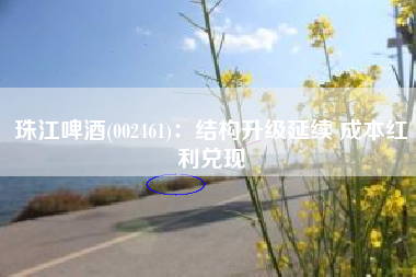 珠江啤酒(002461)：结构升级延续 成本红利兑现