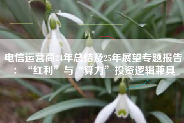 电信运营商24年总结及25年展望专题报告：“红利”与“算力”投资逻辑兼具