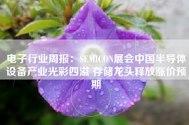 电子行业周报：SEMICON展会中国半导体设备产业光彩四溢 存储龙头释放涨价预期