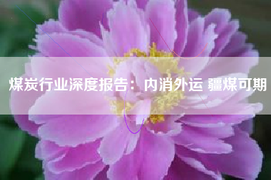 煤炭行业深度报告：内消外运 疆煤可期