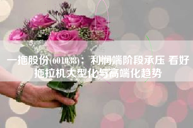 一拖股份(601038)：利润端阶段承压 看好拖拉机大型化与高端化趋势