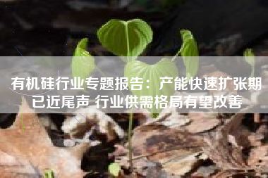有机硅行业专题报告：产能快速扩张期已近尾声 行业供需格局有望改善