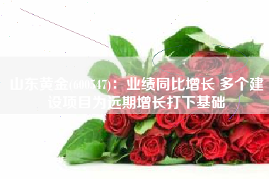 山东黄金(600547)：业绩同比增长 多个建设项目为远期增长打下基础