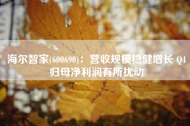海尔智家(600690)：营收规模稳健增长 Q4归母净利润有所扰动