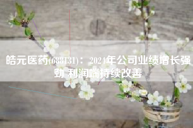 皓元医药(688131)：2024年公司业绩增长强劲 利润端持续改善