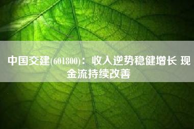 中国交建(601800)：收入逆势稳健增长 现金流持续改善