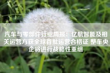 汽车与零部件行业周报：亿航智能及相关运营方获全球首批运营合格证 整车央企将进行战略性重组
