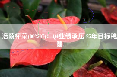涪陵榨菜(002507)：Q4业绩承压 25年目标稳健