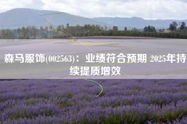 森马服饰(002563)：业绩符合预期 2025年持续提质增效