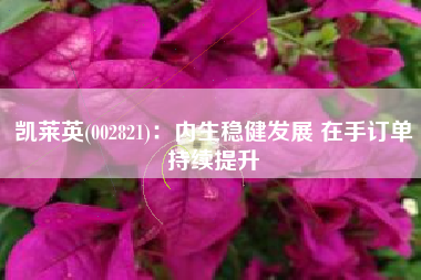 凯莱英(002821)：内生稳健发展 在手订单持续提升