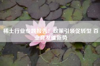 稀土行业专题报告：政策引领促转型 百业竞发催新势