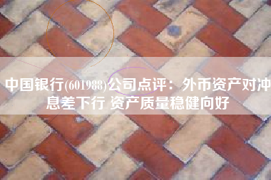 中国银行(601988)公司点评：外币资产对冲息差下行 资产质量稳健向好
