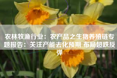农林牧渔行业：农产品之生猪养殖链专题报告：关注产能去化预期 布局超跌反弹