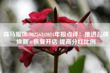 森马服饰(002563)2024年报点评：推进品牌焕新+恢复开店 提高分红比例