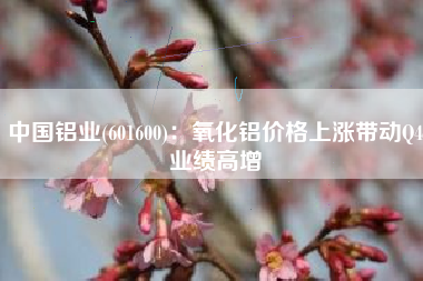 中国铝业(601600)：氧化铝价格上涨带动Q4业绩高增