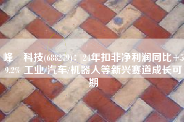 峰岹科技(688279)：24年扣非净利润同比+59.2% 工业/汽车/机器人等新兴赛道成长可期
