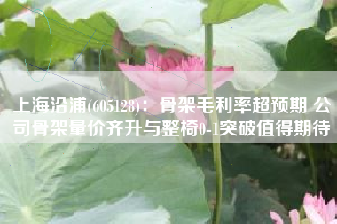 上海沿浦(605128)：骨架毛利率超预期 公司骨架量价齐升与整椅0-1突破值得期待