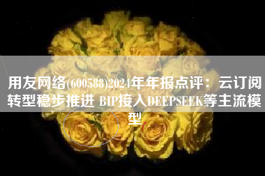 用友网络(600588)2024年年报点评：云订阅转型稳步推进 BIP接入DEEPSEEK等主流模型