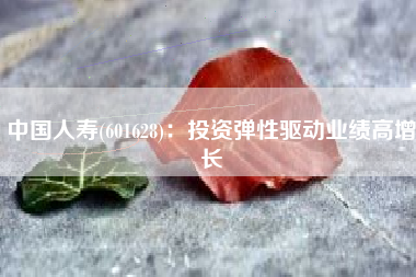 中国人寿(601628)：投资弹性驱动业绩高增长