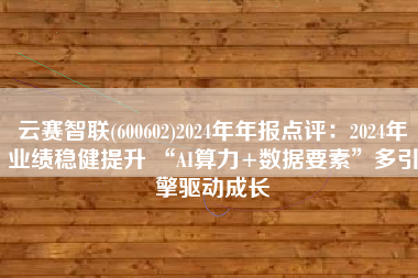云赛智联(600602)2024年年报点评：2024年业绩稳健提升 “AI算力+数据要素”多引擎驱动成长