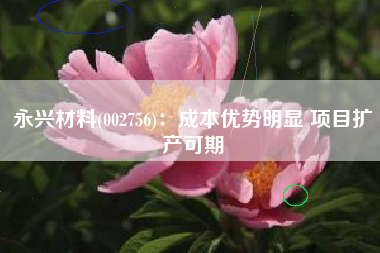 永兴材料(002756)：成本优势明显 项目扩产可期