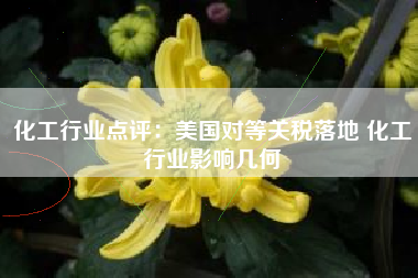 化工行业点评：美国对等关税落地 化工行业影响几何