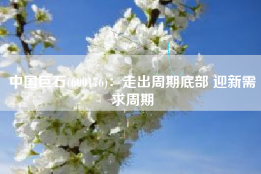 中国巨石(600176)：走出周期底部 迎新需求周期