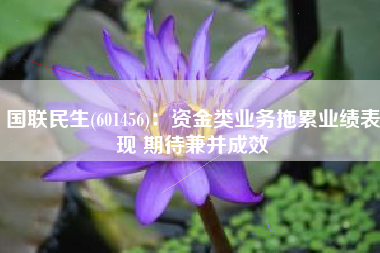 国联民生(601456)：资金类业务拖累业绩表现 期待兼并成效