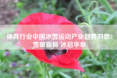 体育行业中国冰雪运动产业趋势洞察：雪破新局 冰启华章