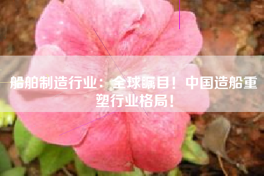 船舶制造行业：全球瞩目！中国造船重塑行业格局！
