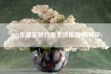 2024年度家居行业生活报告(英译中)
