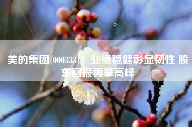 美的集团(000333)：业绩稳健彰显韧性 股东回报再攀高峰