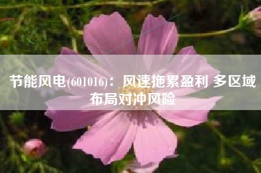 节能风电(601016)：风速拖累盈利 多区域布局对冲风险